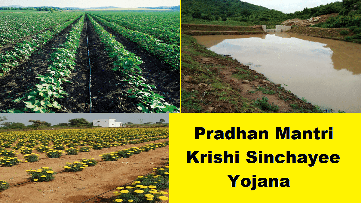 PM Krishi Sinchai Yojana