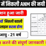 Bihar anm vacancy 2025